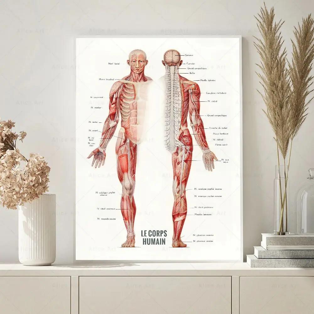 Plakaty na płótnie z anatomią  – Badminton Poster recenzja i cena